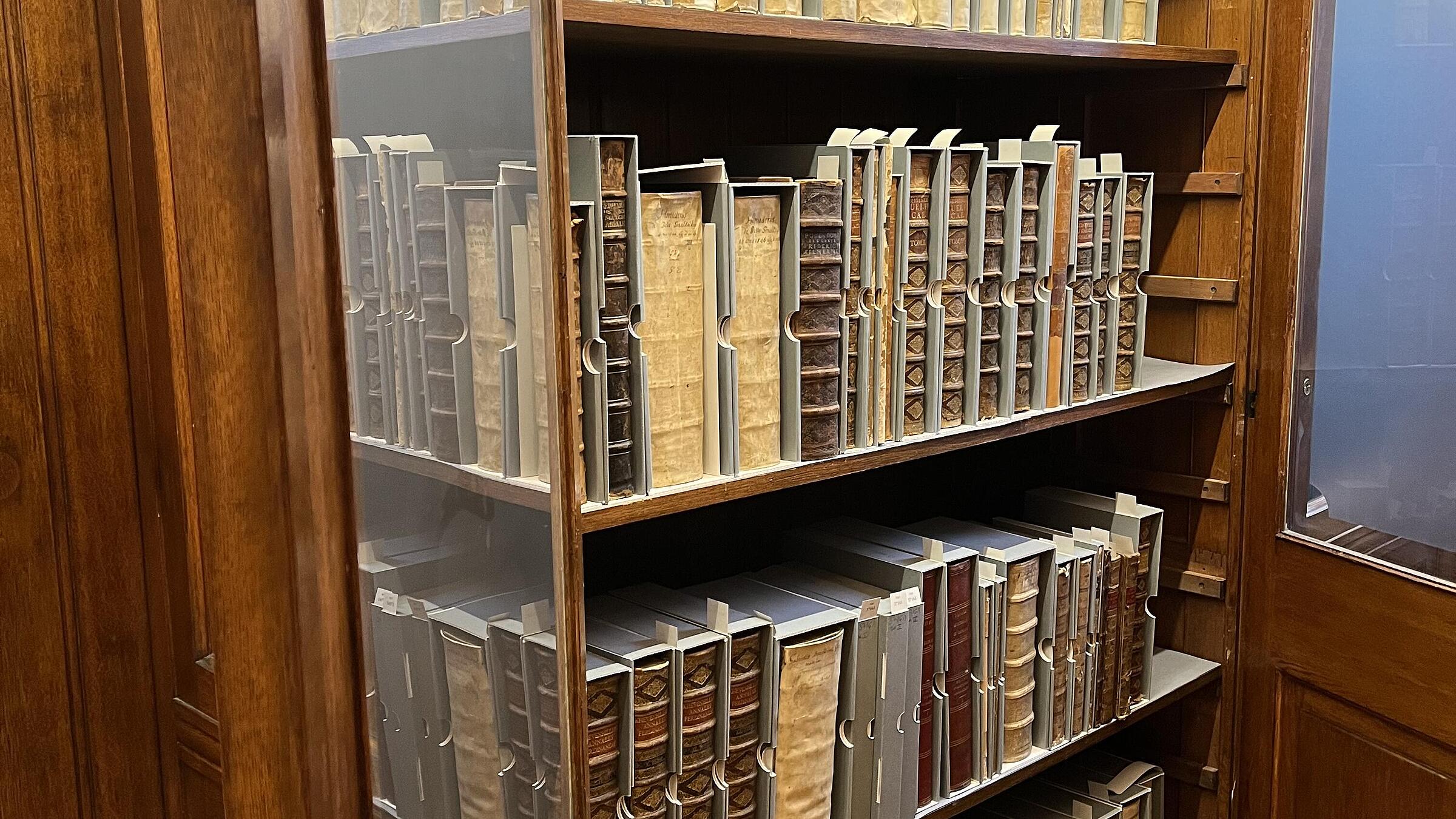 Alter Schrank mit sehr vielen historischen in Leder gebundenen Büchern 