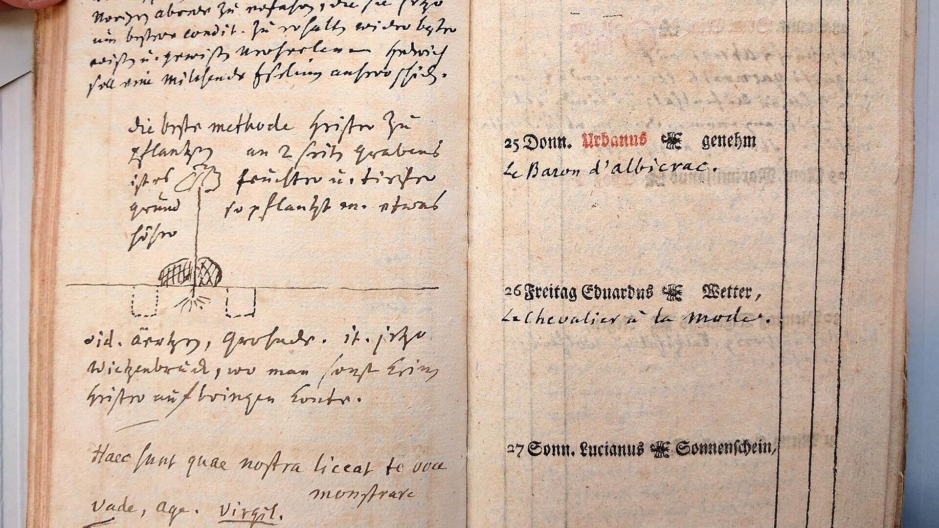 Auszug Tagebuch Friedrich Karl von Hardenberg, Signatur: Har 48784 