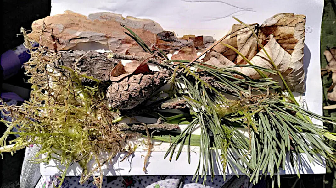 Foto von Stöckchen, Blätter, Blüten und Rindenstückchen