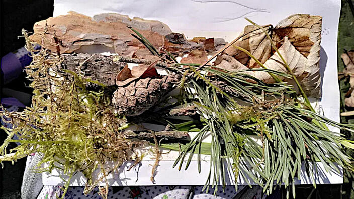Foto von Stöckchen, Blätter, Blüten und Rindenstückchen