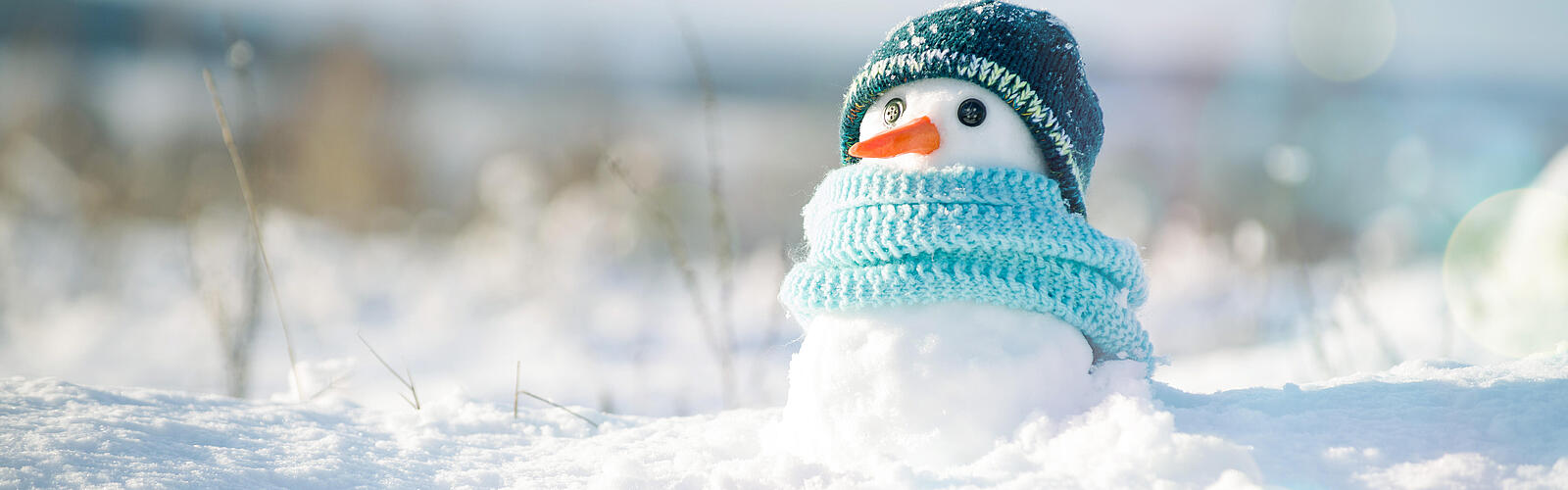 Foto von Schneemann im Schnee