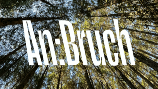 Das Cover einer Schallplatte vom Label Anbruch. Im Hintergrund im Wald in den Himmel fotografiert, im Vordergrund der Schriftzug Anbruch.