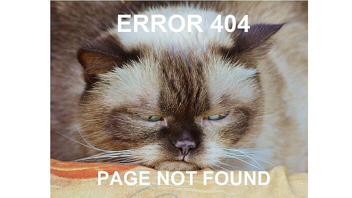 Foto einer Katze, die verschlafen guckt, und der Text: Error 404, Page not found