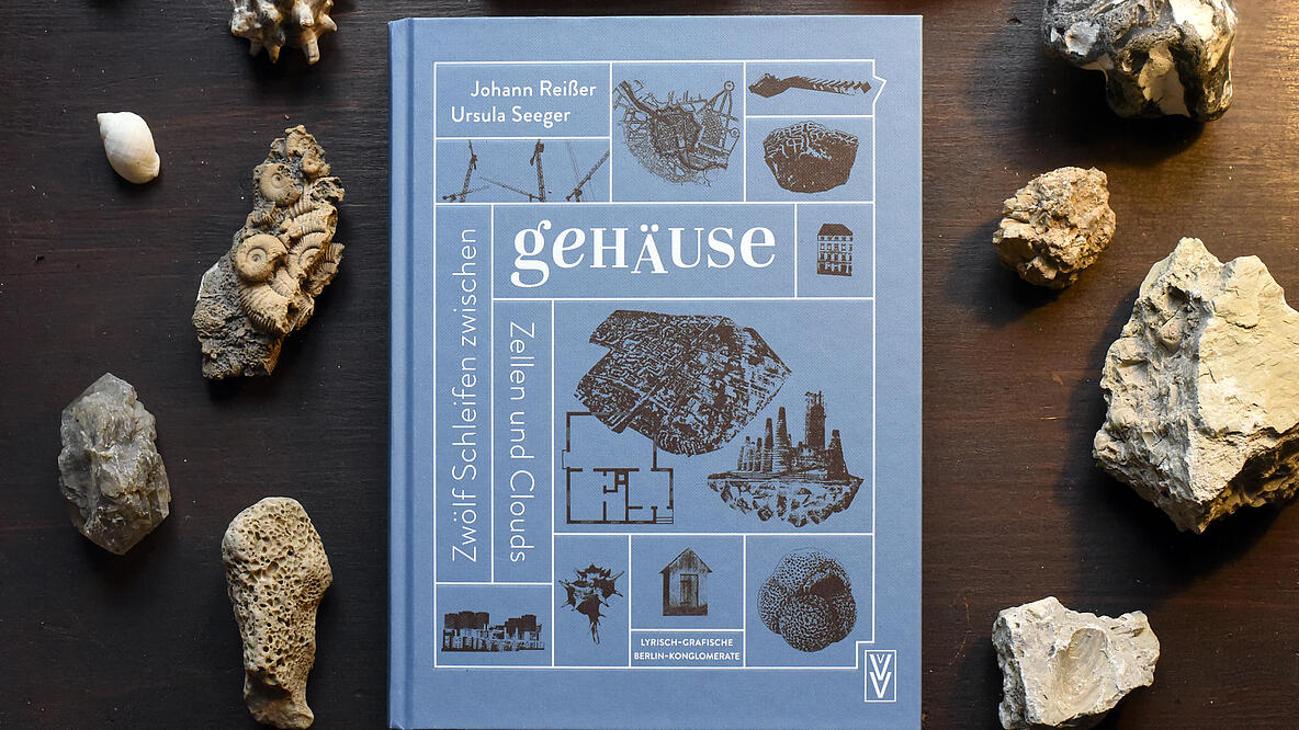 Das Buch "Gehäuse", neben Muscheln und Steinen