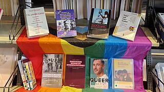 Foto der aktuellen Medienpräsentation mit Büchern und einer Pride-Fahne