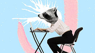 Collage zeigt Jugendlichen mit Waschbärkopf auf Stuhl sitzend an Laptop