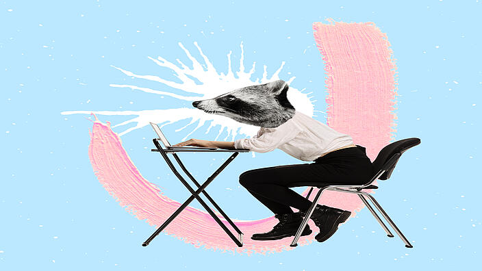 Collage zeigt Jugendlichen mit Waschbärkopf auf Stuhl sitzend an Laptop