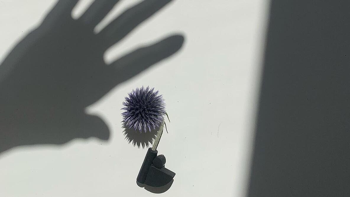 Eine Brosche aus Naturmaterialien und der Schatten einer Hand