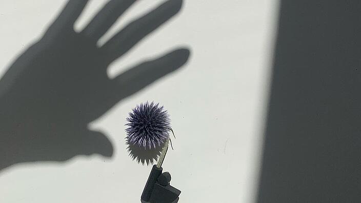 Eine Brosche aus Naturmaterialien und der Schatten einer Hand