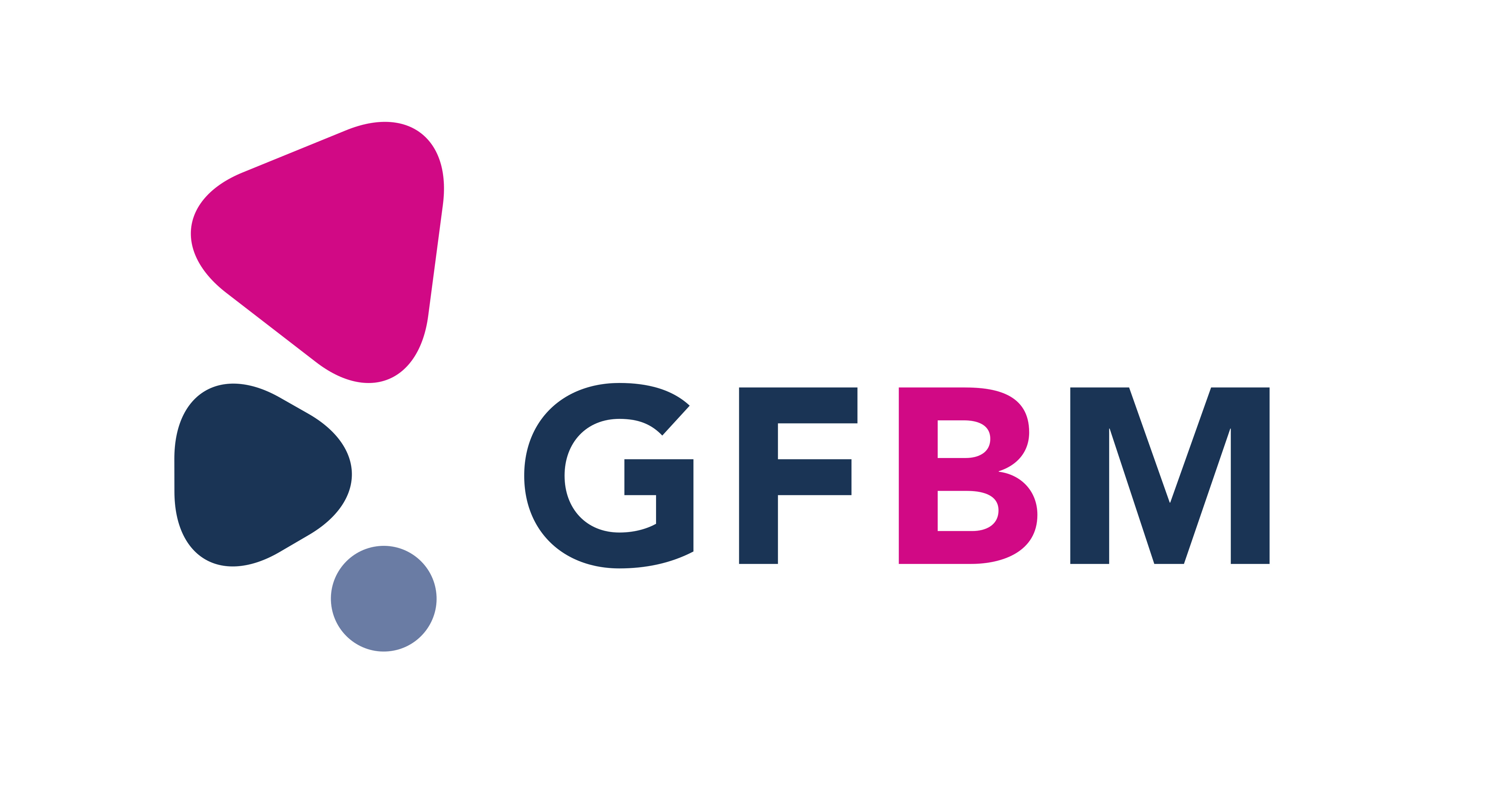 Logo von GFBM - zur Jugendcoaching-Seite