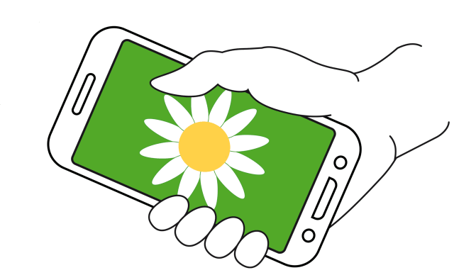 Eine Hand mit einem Handy in der Hand. Auf dem Bildschirm sieht man eine weiße Blume.